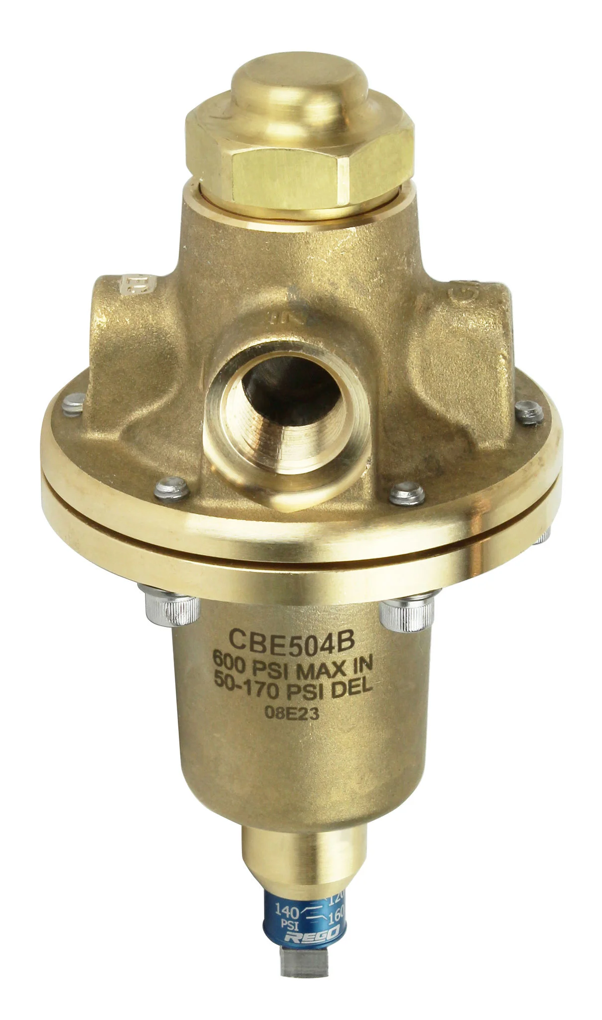 Pressure Regulators & Accessories Products 