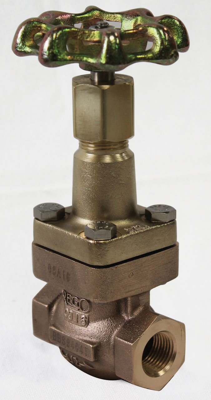 main-image