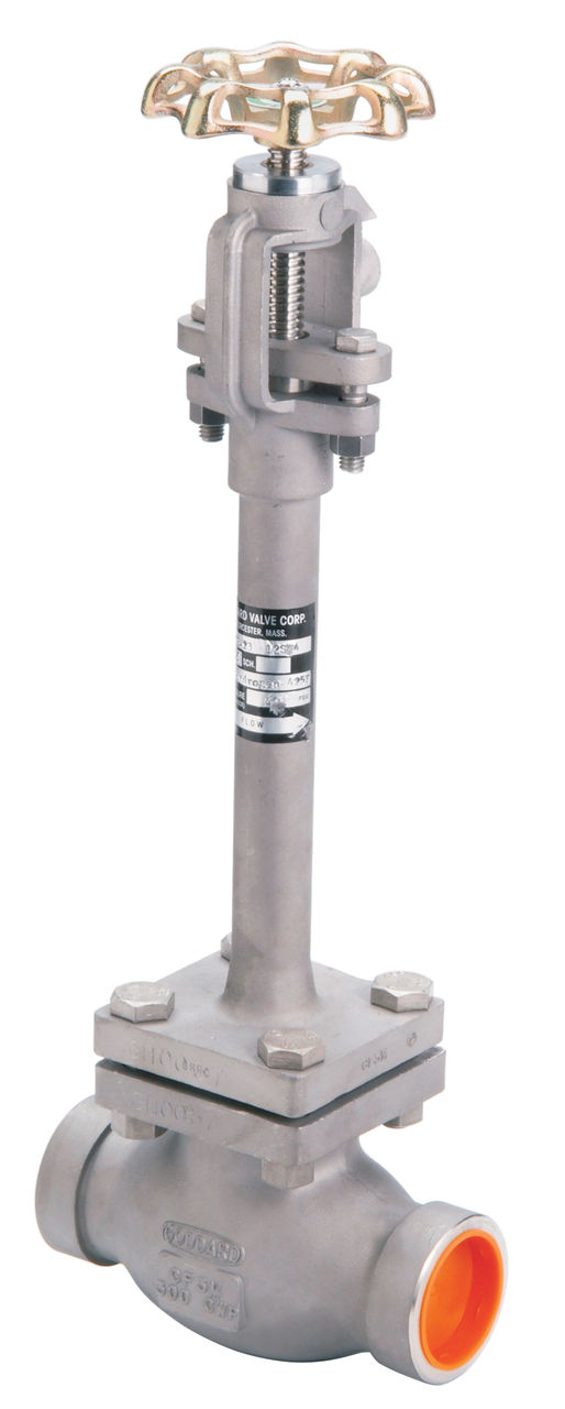 main-image